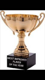 M.I.P. Award.png